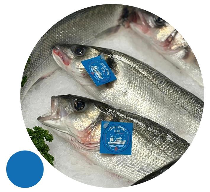 Vente de poissons à Olivet (45)
