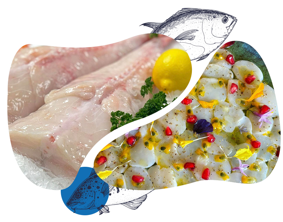 Produits de la mer à Olivet dans le Loiret (45)