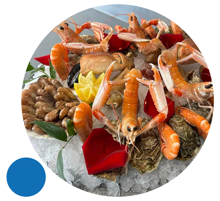 Plateaux de fruits de mer à Olivet (45)