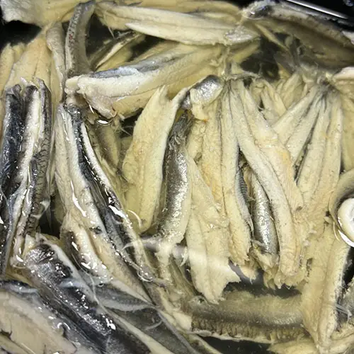 Poissonniers à Olivet dans le Loiret