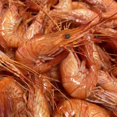 Poissonnier à Olivet (45)