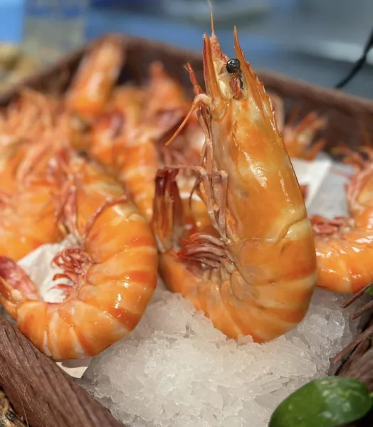 crevettes.webp
