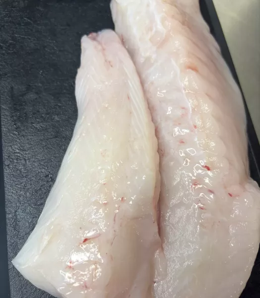 Filet de lotte 500g