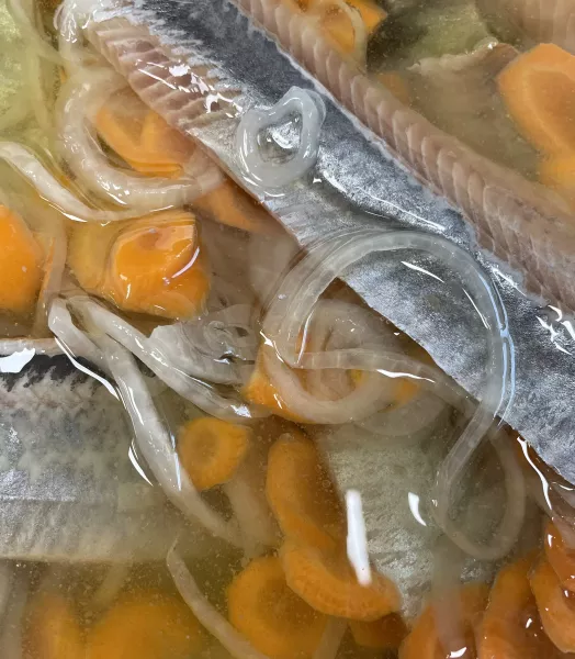 4 filets de harengs doux marinés oignons carottes fait maison